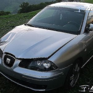 Avtodeli za Seat Ibiza