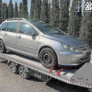 Avtodeli za Peugeot 307