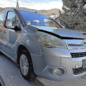 Avtodeli za Citroën Berlingo Multispace 1.6 HDi 90