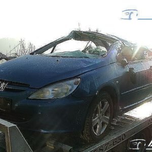Avtodeli za Peugeot 307