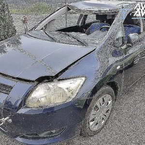 Avtodeli za Toyota Auris 1.4 VVT-i Luna