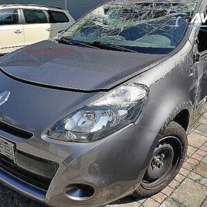 Avtodeli za Renault Clio 1.2
