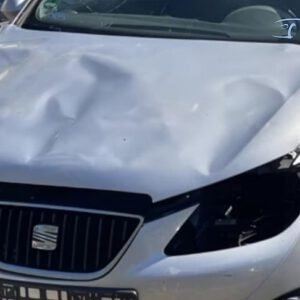 Avtodeli za Seat Ibiza 1.4 16V 63KW REFERENCE