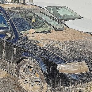 Avtodeli za Audi A4 Avant avant 1.9 TDI 96 kW multitronic