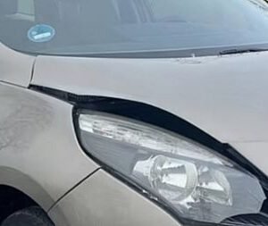 Avtodeli za Renault Grand Scenic Color Edition 1.6 16V